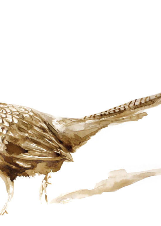 Sk Pheasant   Print Art | Lauren Daae