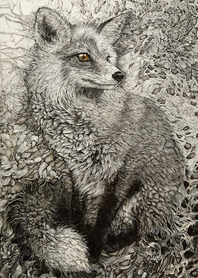 Reynard, Fox | Col Mitchell Contemporary Paper Artist