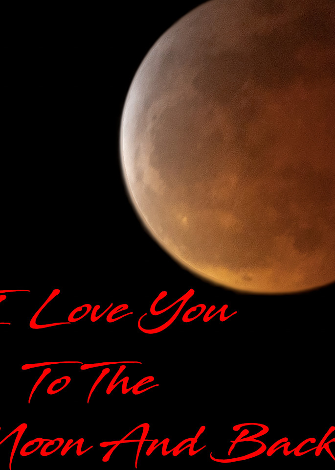 Love You to the Moon