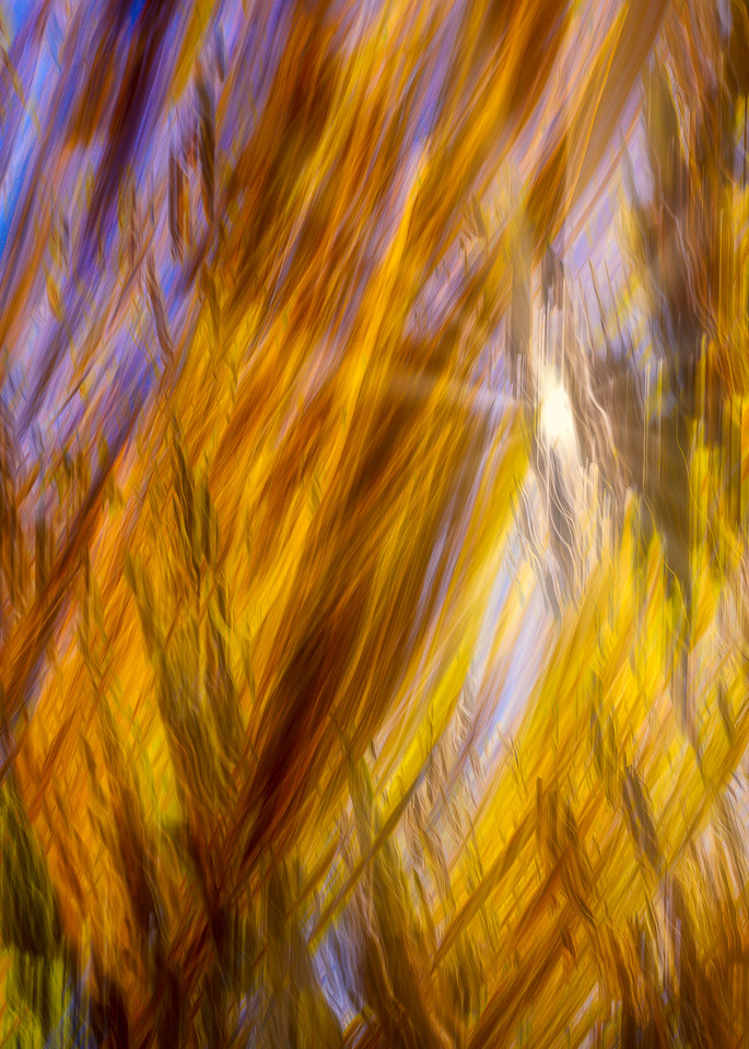 Breaking light abstract image
