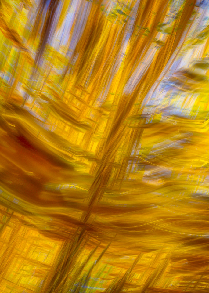 Abstract print fall leaves