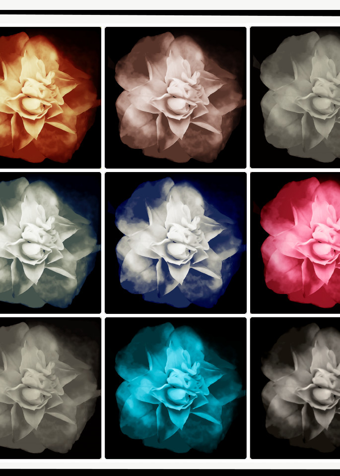 Photographs of flowers by Daniel Sussman Visuals -- postmodern!
