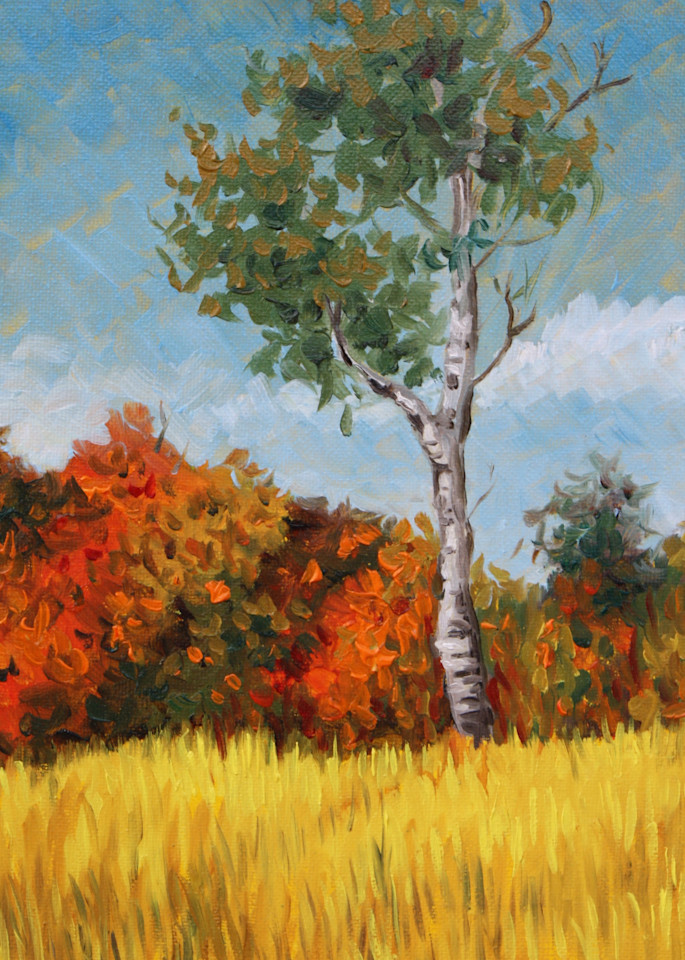 Autumn birch fine art print by Hilary J. England