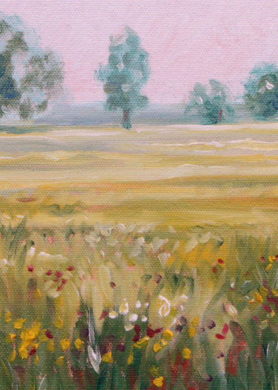 Foggy field of wildflowers fine art print by Hilary J England 