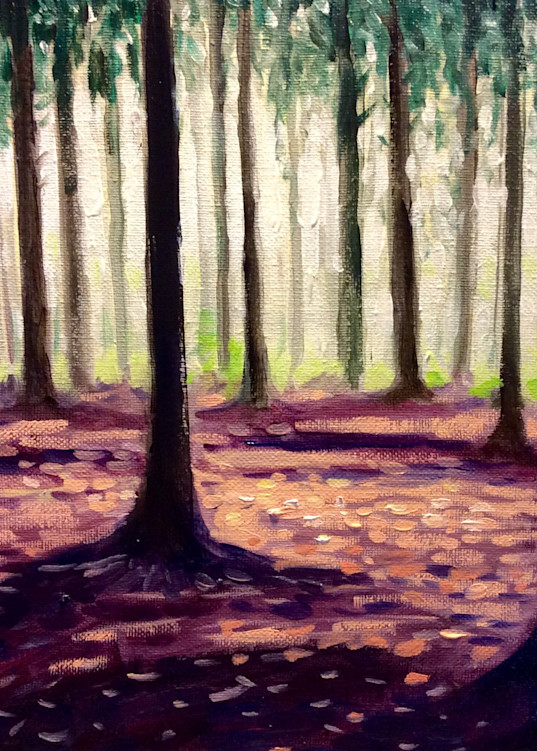 Northern forest in winter fine art open edition print