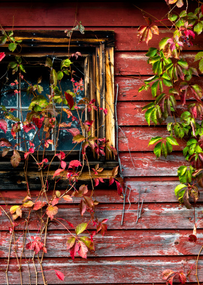 Rustic Barn 1 Photography Art | Gale Ensign Photography