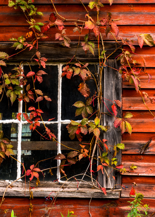 Rustic Barn 3 Photography Art | Gale Ensign Photography