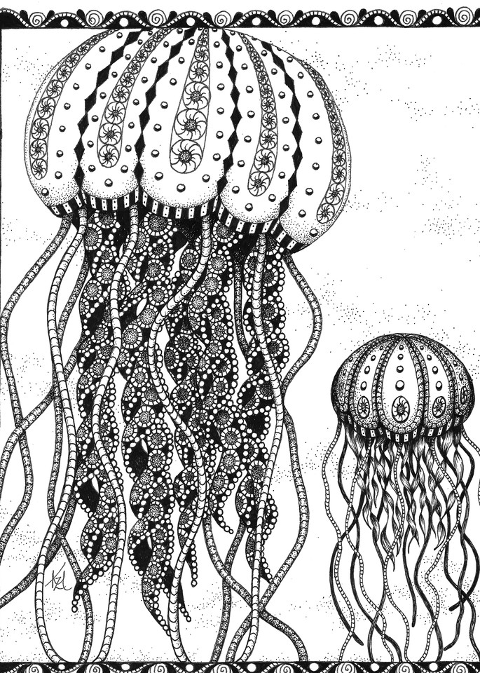 Jellies (jellyfish)