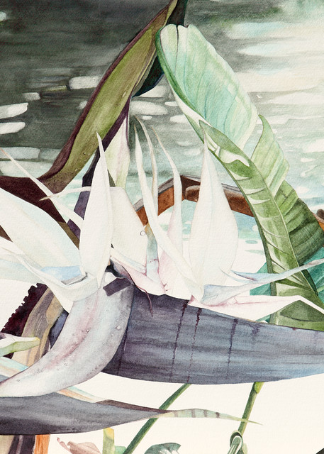 A print on gallery wrapped canvas by watercolor artist Sandra Galloway of an up-close view of a White Bird of Paradise