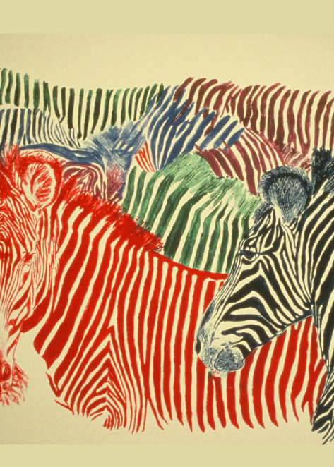 Zebras Monotype Giclee Art Prints