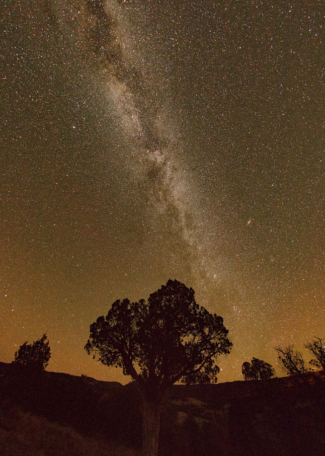 Milky Way Photograph 8972  | Night Photography | Koral Martin Fine Art Photography