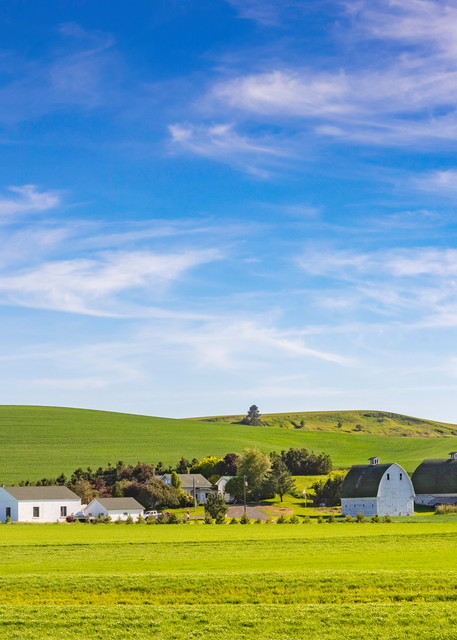 A farm scene on the Palouse in Washington state by photographer Vince Streano
