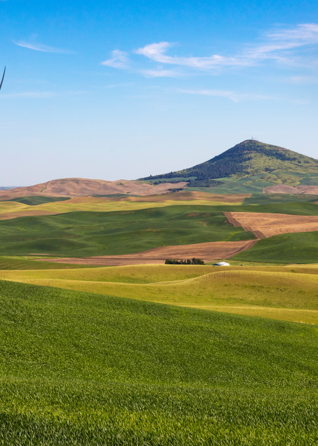 A Palouse Washington scenic overview with Steptoe Butte in the background. 