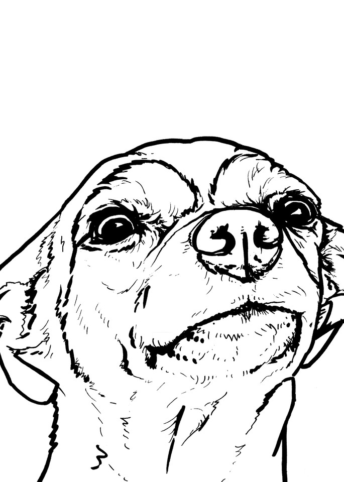 Chihuahua Drawing Line Art Dog Print Dogs perform many roles for people, such as hunting, herding, pulling loads, protection, assisting police and military another study suggested that dogs can see the earth's magnetic field. chihuahua drawing line art dog print