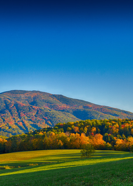 Late Afternoon Fall Walks In Vermont Photography Art | Nathan Larson Photography