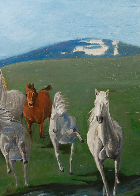 Wild Horses Art | Dave Lambeth Fine Art