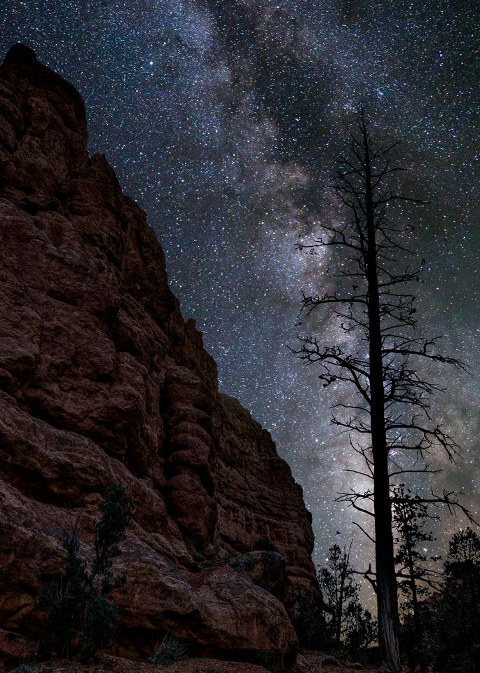 Night at Red Canyon with the Stars