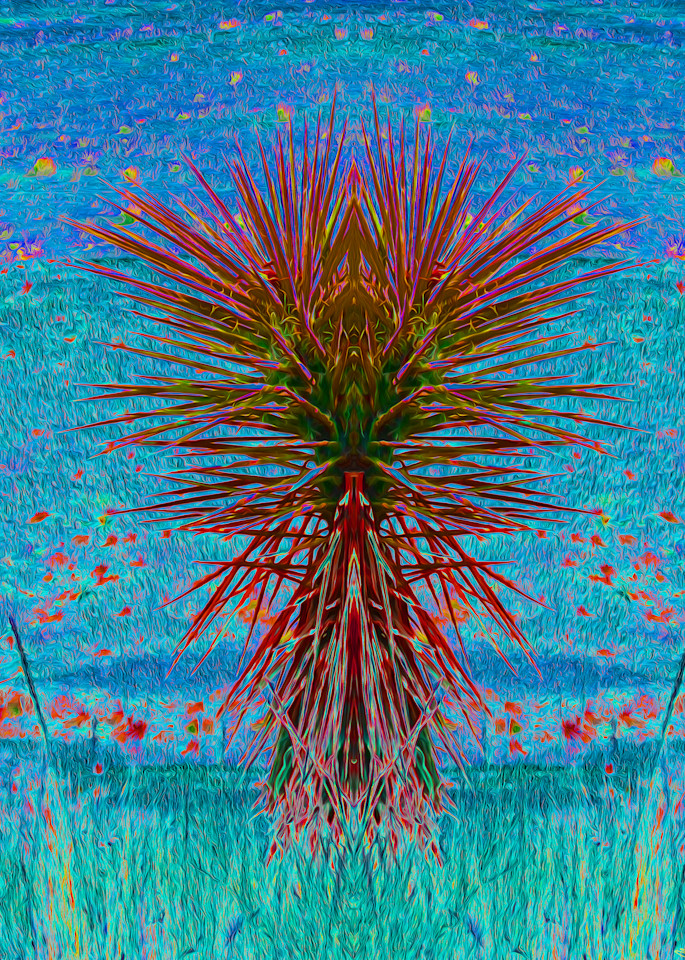 Yucca No. 1 Art | Maureen Wilks Digital Fine Art