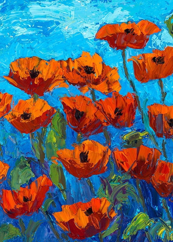 Summer Day Poppies Art | Fine Art New Mexico
