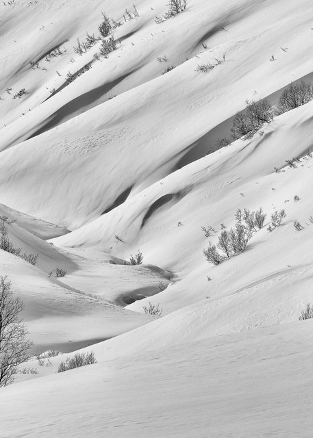 Snow blanketing the Talkeetna Mountains at Hatcher Pass creates flowing shapes in late winter in Southcentral Alaska. Afternoon.