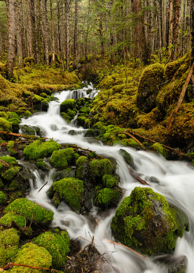 Cascade of water over boulders and moss from snow melt in spring from the Chugach Mountains bordering Eyak Lake  in Southcentral Alaska. Afternoon.