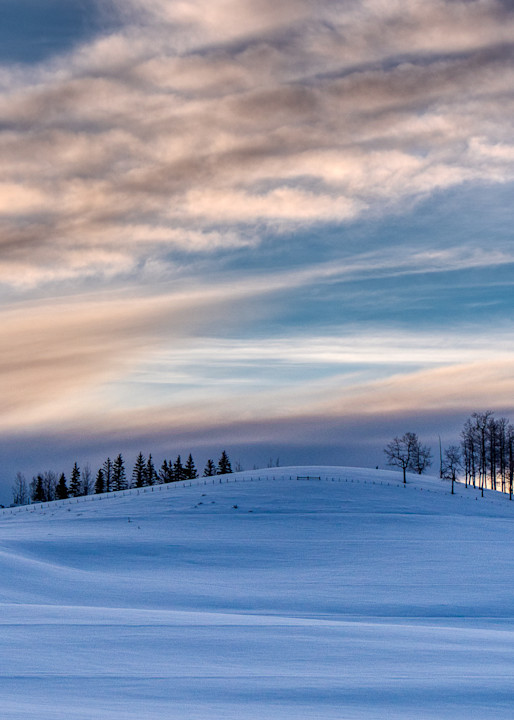 Trees On A Snowy Skyline Photography Art | Peter Batty Photography