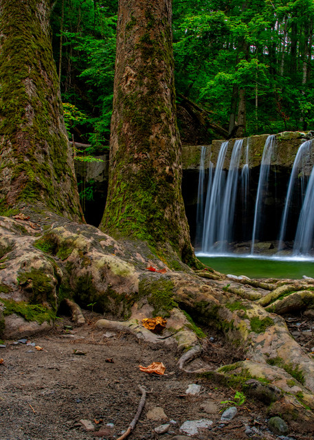 Great Gully waterfall photography prints