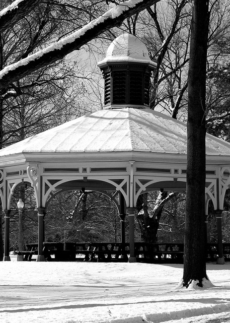 Humboldt South Pavilion In Tower Grove Park Art | Moore Design Group