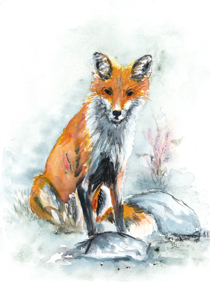 Evening Fox Art | Debra Bruner Studio