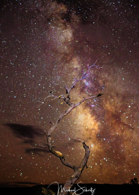 Lineage Tree To The Milky Way Photography Art | dynamicearthphotos