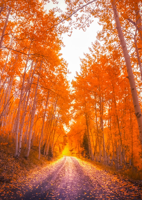 Fall Country Road Photography Art | Derrick Snider Imagery