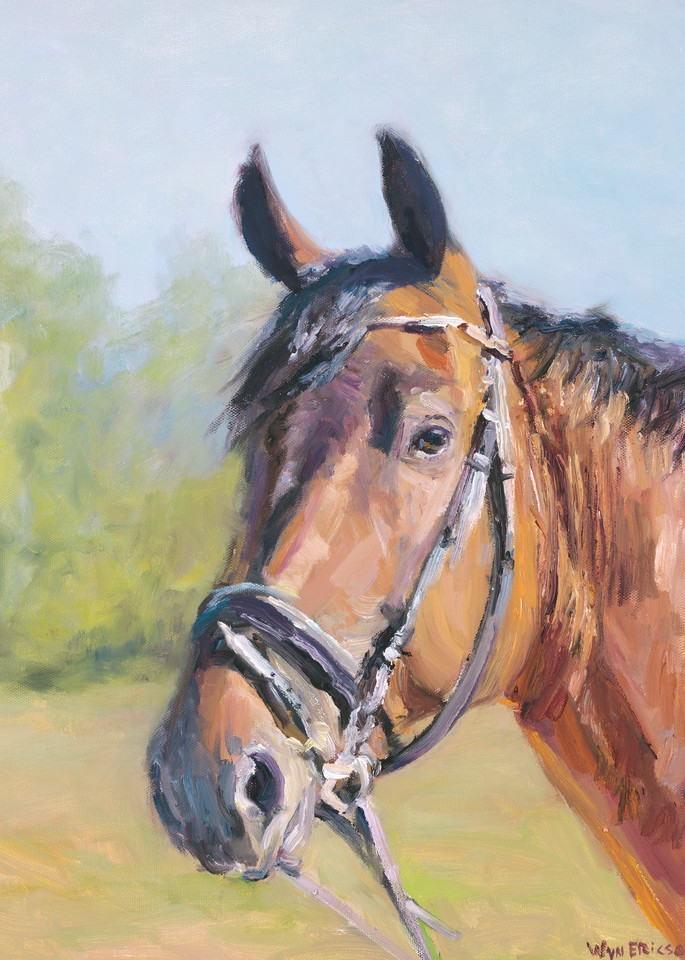 Equine Portrait