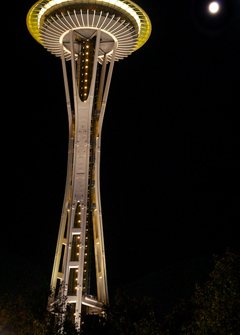 Seattle Space Needle Lr Photography Art | E.R. Lilley Photography