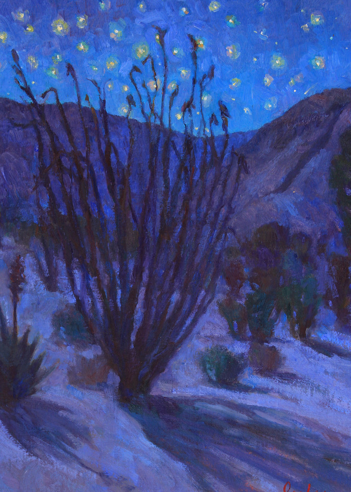 Desert Starlight by Rose Irelan