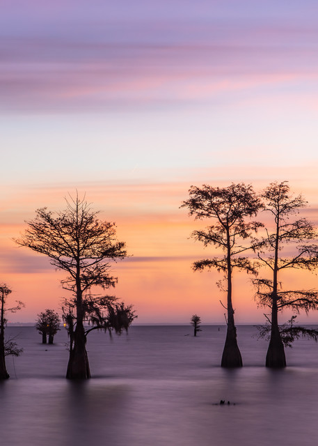 Lake Moultrie Twilight