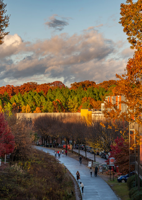 Highland Avenue View | Susan J Photography - Fine-Art Prints