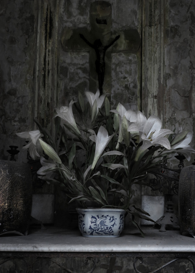 Lilies In Blue Willow Photography Art | Dan Katz, Inc.