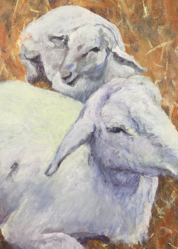 Sheep At The Fair, 2019 Art | Jonathan Mann ART