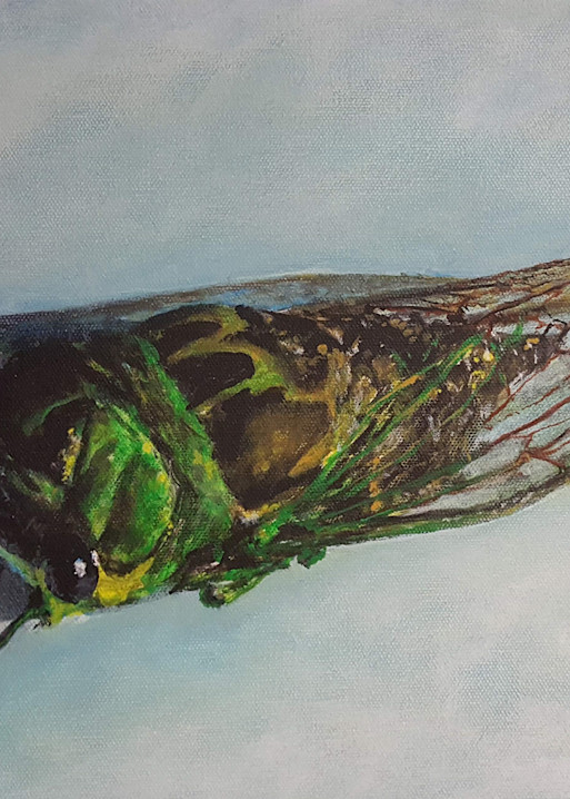 Cicada  #2, 2017 Art | Jonathan Mann ART