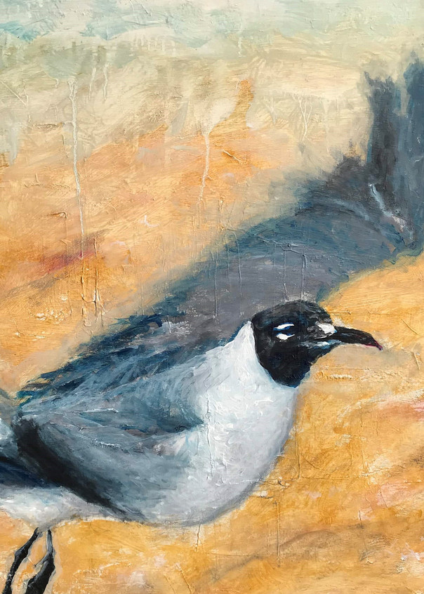 Seagull, 2018 Art | Jonathan Mann ART