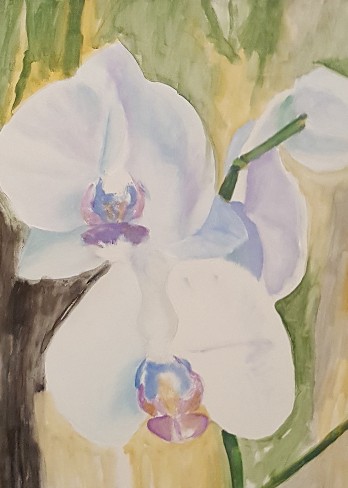 Orchids, 2016 Art | Jonathan Mann ART