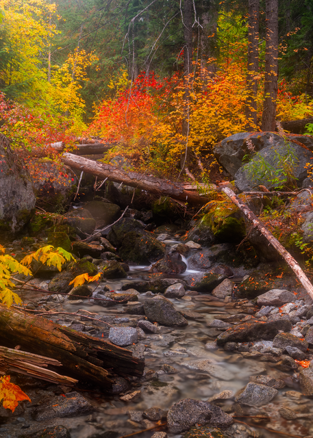 Tumble Creek Autumn Photography Art | Craig Primas Photography