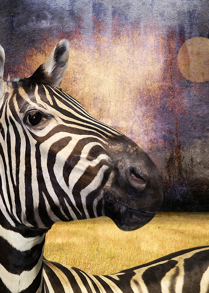 Vincent DiLeo creates unique photographic art. The Zebra is one of his surreal pieces that is available in multiple sizes and frames.