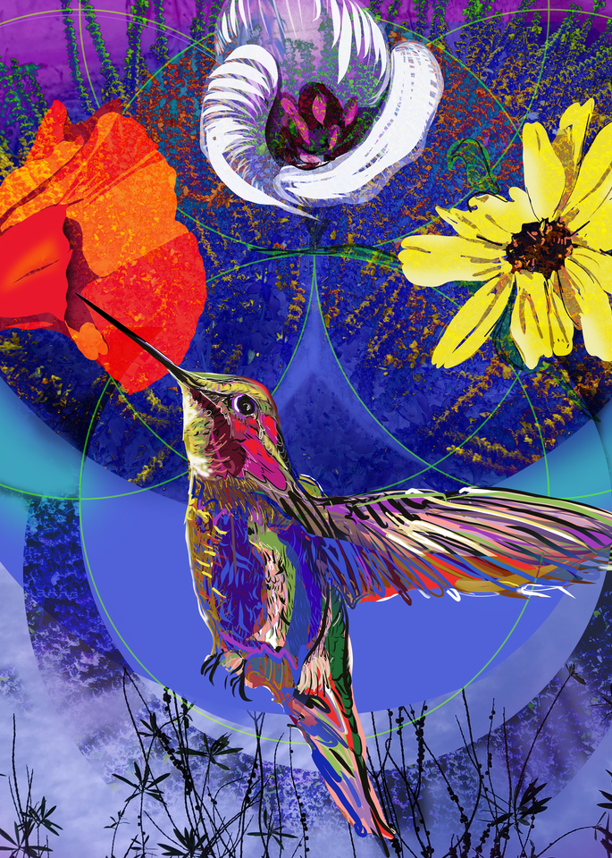 Night Hummingbird Art | Emily Tanaka - Have to Create