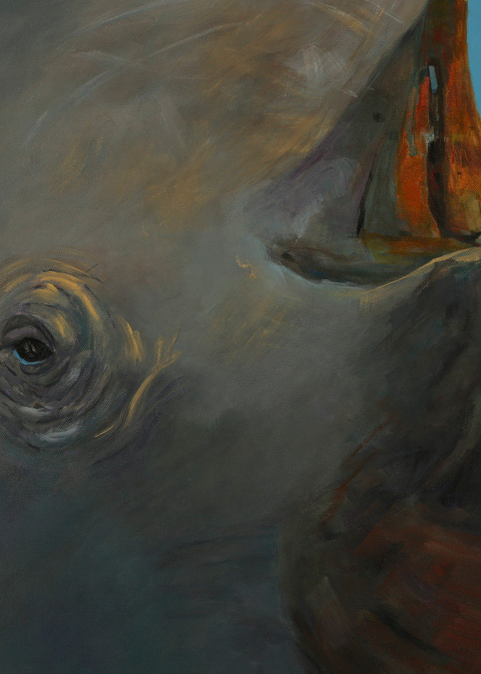 Look Me In The Eye   Rhino Art | Leslie Cline
