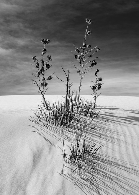 White Sands, Nm #10 Photography Art | Kit Noble Photography