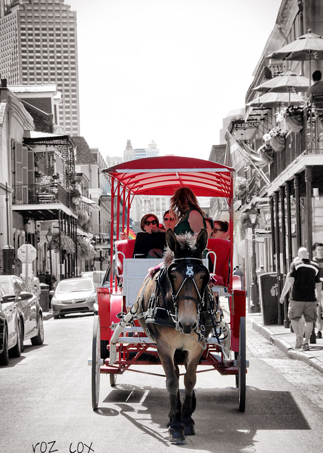 Carriage French Quarter Decatur Street