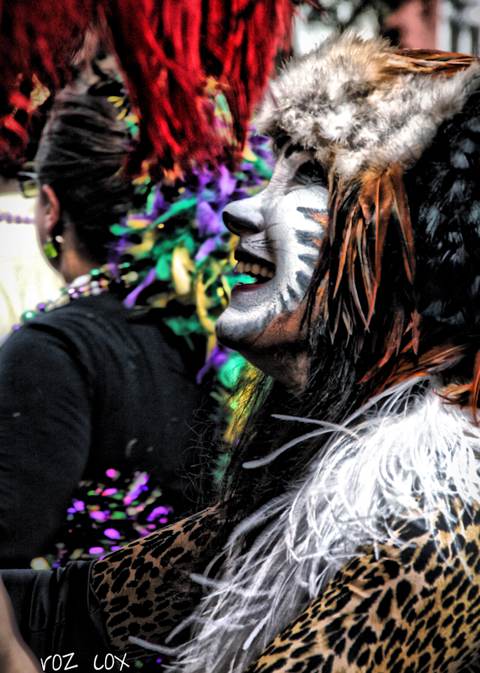 Mardi Gras Masquerader