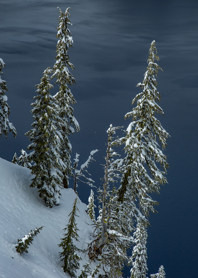 Trees In Winter, Crater Lake Photography Art | Lovere Photography