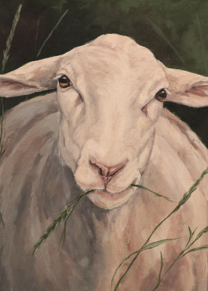 Ewe Eating Grass Art | Joan Frimberger Fine Art